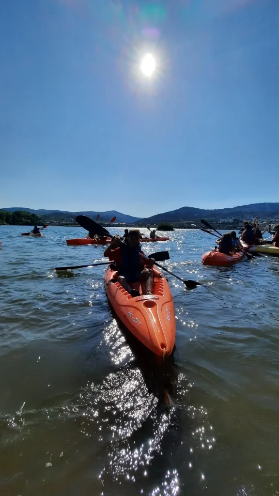 VIA XXIV proyectos ambientales