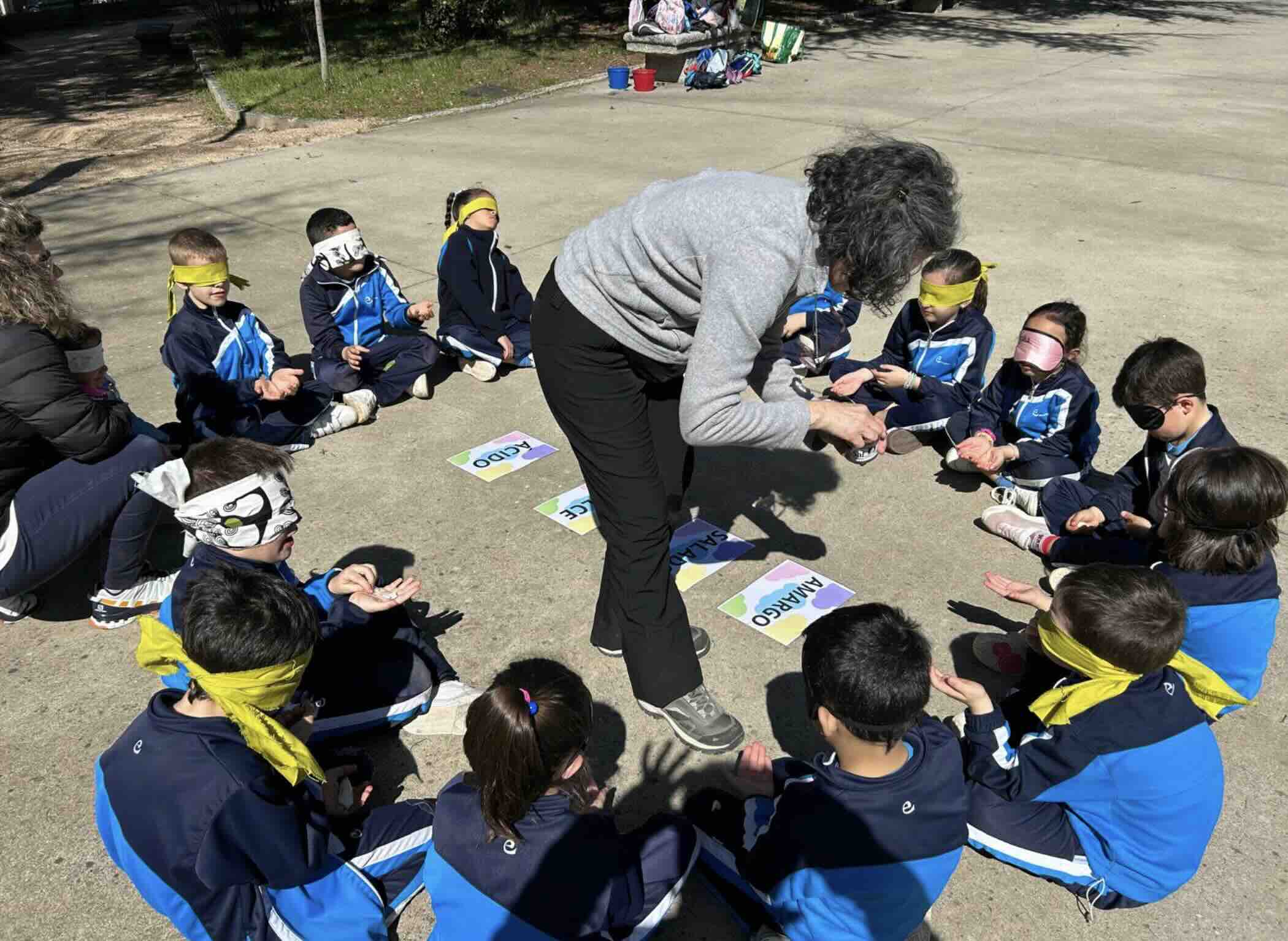 VIA XXIV proyectos ambientales