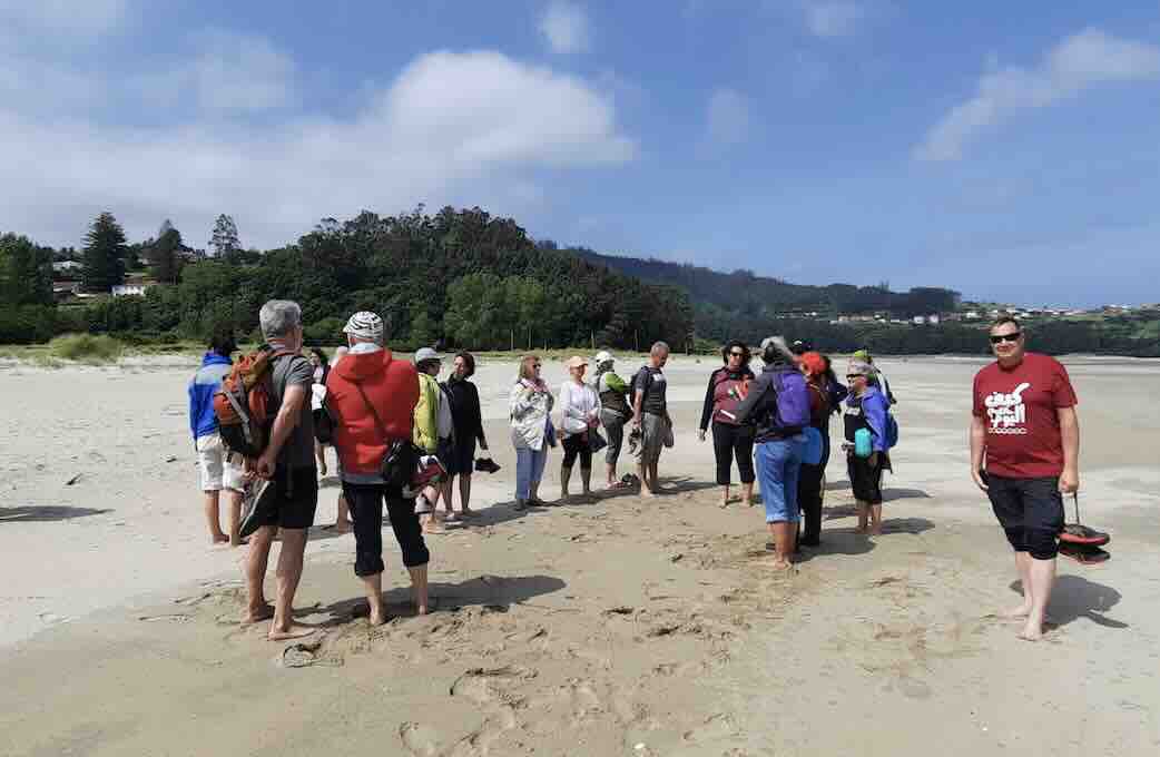 Actividades inclusivas